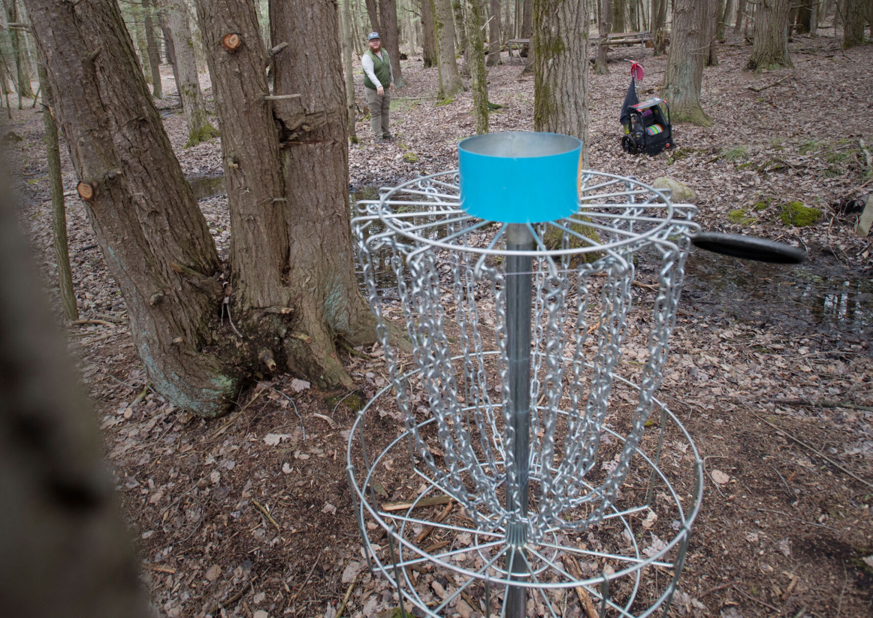Disc golf gains momentum in St. Lawrence Co.